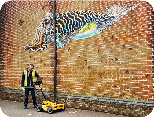 Utility Surveyor using dual frequency GPR